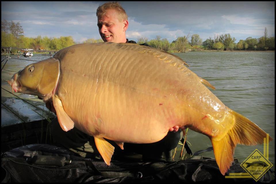 crapi mari - 728013210804913542211087399754n.jpg